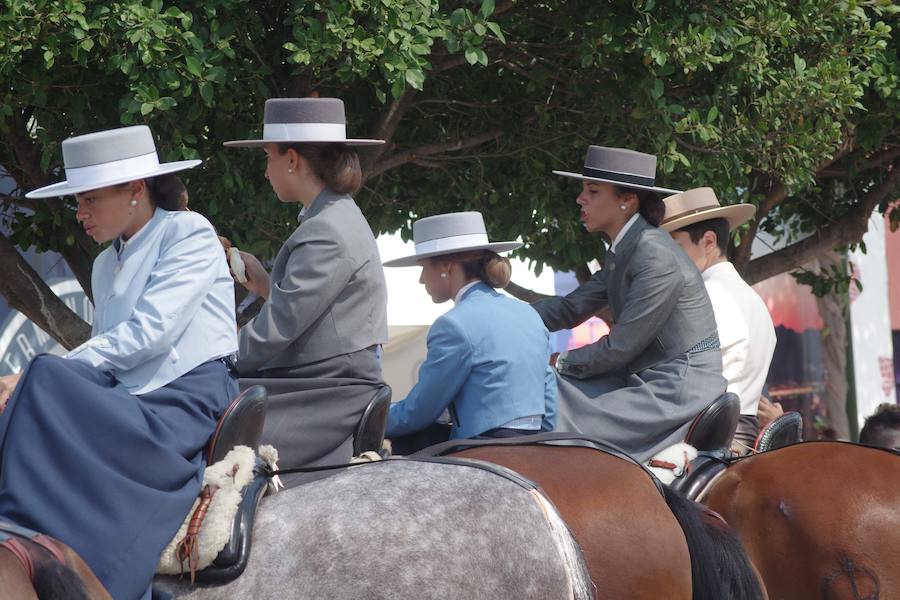Los caballos toman el Cortijo de Torres