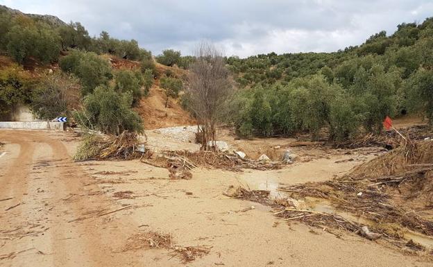 El campo recibe las últimas lluvias con optimismo aunque no alejan el peligro de la sequía