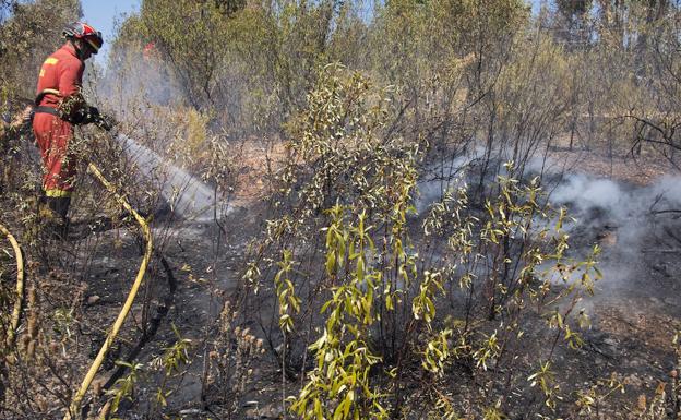 Asciende a unos 500 los desalojados por el incendio de La Granada de Riotinto