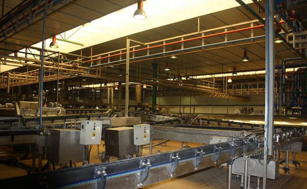 Dcoop aumenta el valor de sus exportaciones un 13,61% hasta los 489,9 millones