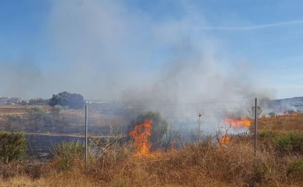 Un incendio de pastos por la zona del campus de Teatinos complica el tráfico