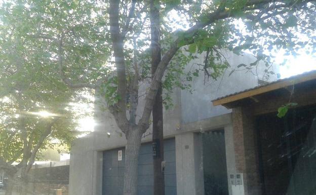 Un barrio de clase alta con casas antisísmicas, el refugio Carlos Fernández en Argentina