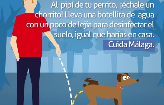 El Ayuntamiento de Málaga invita a los dueños de perros a combatir el pipí con agua y lejía