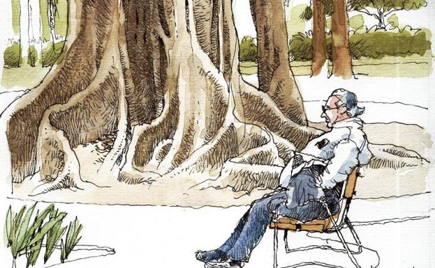 Higueras estranguladoras: Jardines de Picasso