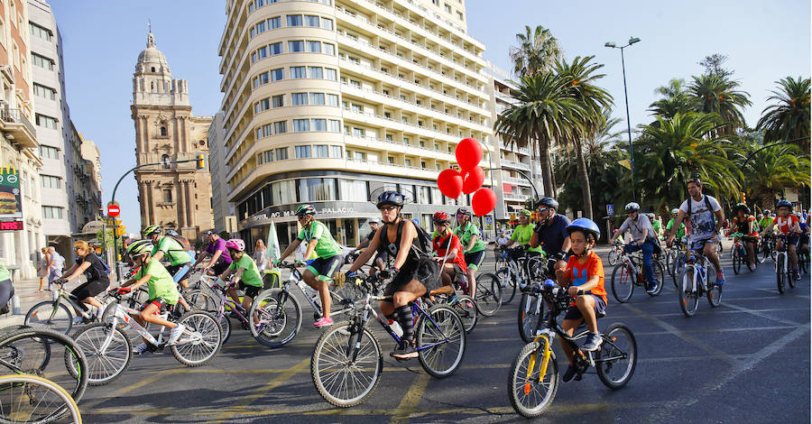 El XV Día de la Bici de Málaga, en imágenes