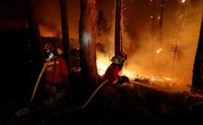 Portugal eleva a 38 las víctimas mortales por los incendios
