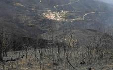Aumenta a 45 el número de muertos en los incendios de Portugal