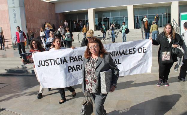 La Audiencia Provincial ratifica la pena de cárcel a la presidenta de la protectora de Torremolinos