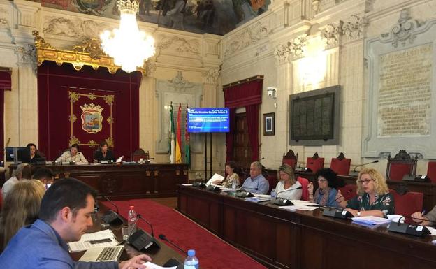 El Ayuntamiento de Málaga aprueba impulsar la implantación de una universidad privada