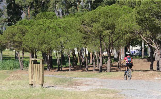 El Campamento Benítez se alumbrará con farolas fotovoltaicas