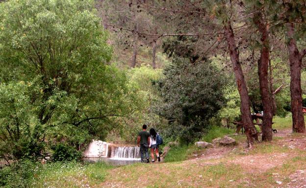 Paisajes de otoño de Málaga donde disfrutar haciendo fotos