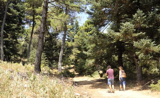 El Gobierno espera que la Sierra de las Nieves sea Parque Nacional a mediados de 2018