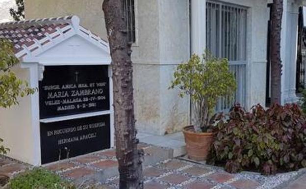 Denuncian el sacrificio de los gatos que visitaban la tumba de María Zambrano