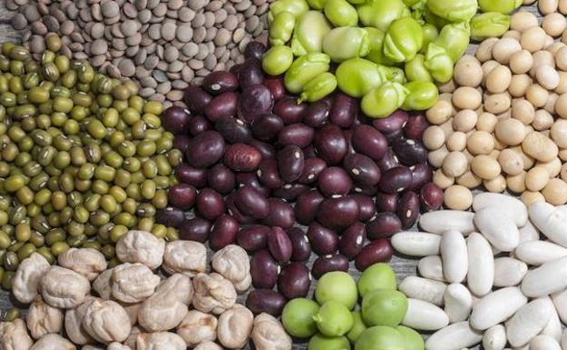 Ni te falta magnesio, ni el colágeno te va a ayudar