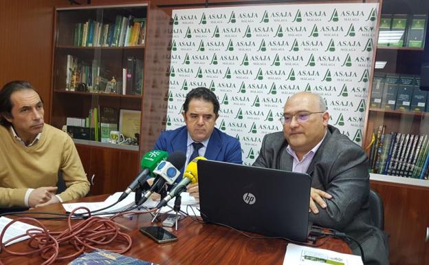 La sequía y las caídas del precio del limón y de la producción del olivar afectan a la facturación agraria de Málaga