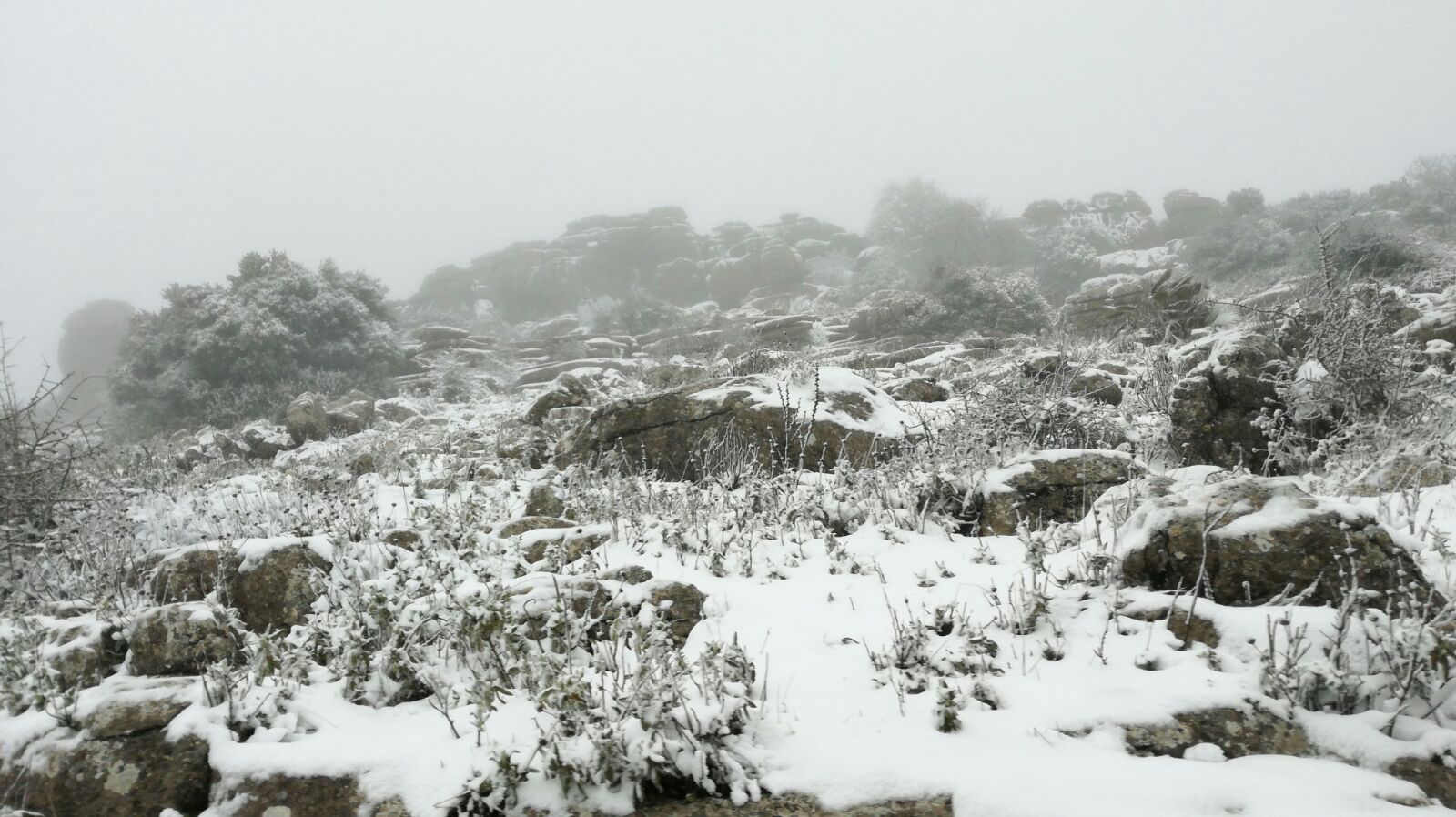 La nieve llega al interior de la provincia de Málaga