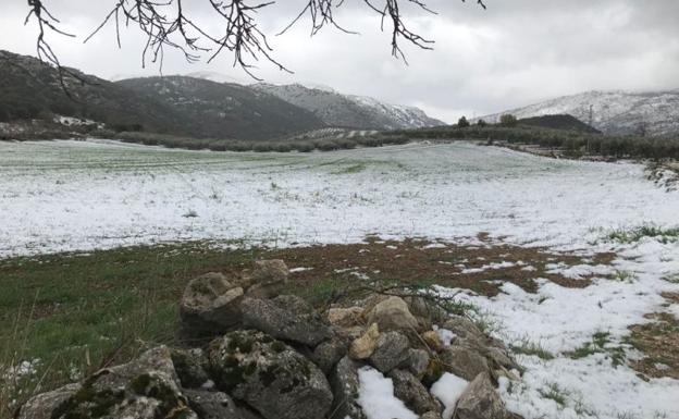 La Alta Axarquía mantiene el manto blanco a la espera de más nevadas