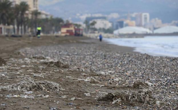 Las toallitas y otras cuestiones vuelven después de Navidad