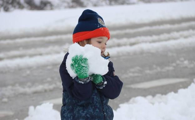 Los mejores vídeos de la nevada del lunes en la provincia de Málaga