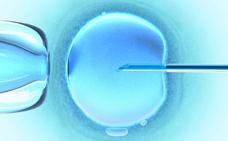 Los embriones congelados, igual de eficaces para la fecundación in vitro que los frescos