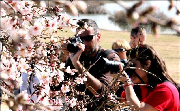 Rutas de senderismo donde ver almendros en flor en la provincia de Málaga