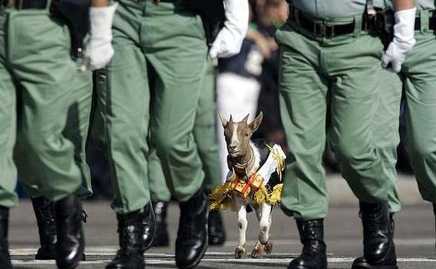 Condenan a un legionario malagueño por tutear y empujar a un superior en un local de copas