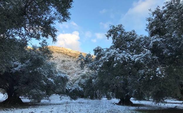 La nieve vuelve a hacer acto de presencia en Alfarnate y Alfarnatejo