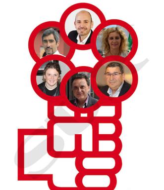 Los alcaldes del PSOE de las grandes ciudades, dispuestos a repetir en 2019