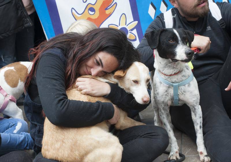 Más de 500 personas protestan en Málaga por la caza con galgos y el maltrato animal
