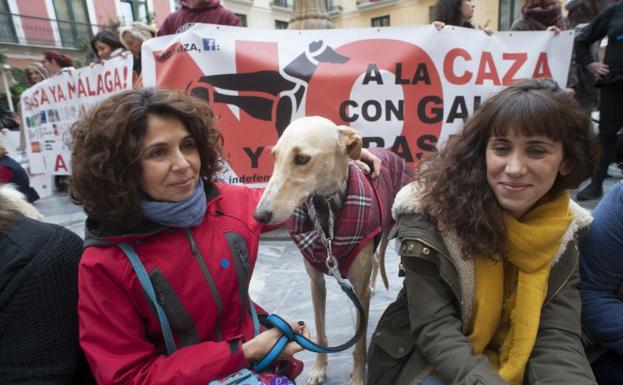 Más de 500 personas protestan en Málaga por la caza con galgos y el maltrato animal