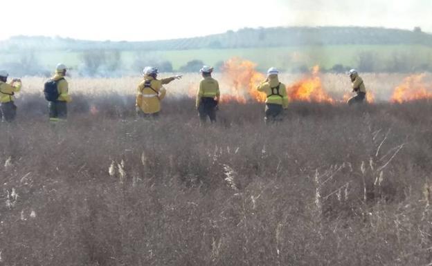 Fuego para proteger la tierra