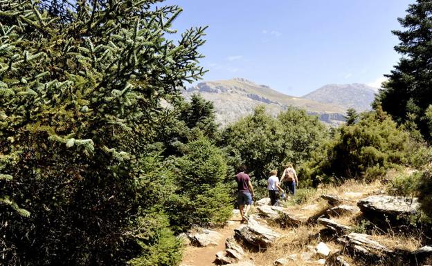 La Sierra de las Nieves tendrá un régimen de protección preventiva hasta que sea parque nacional