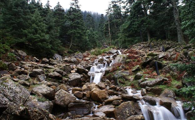 Sierra Bermeja, «la olvidada» del futuro parque nacional