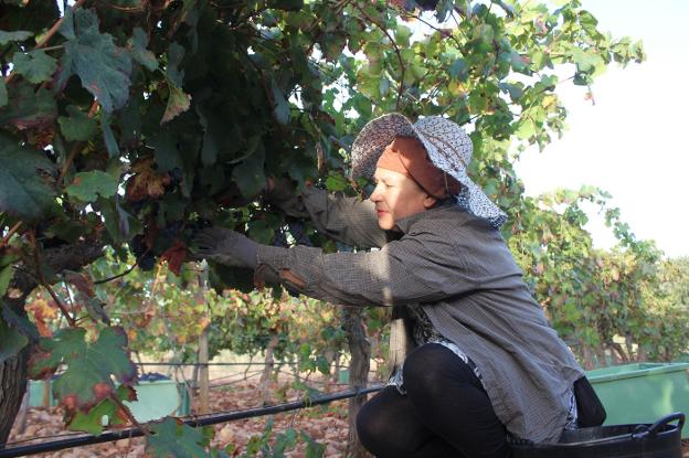 La Ruta del Vino de Ronda espera duplicar sus socios con la ampliación al resto de la provincia