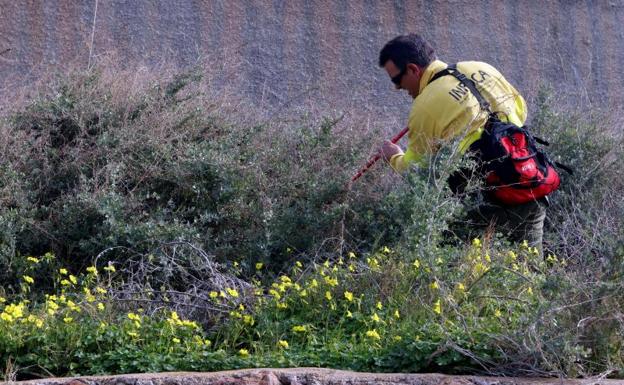 Doce días de desesperada búsqueda y un trágico final