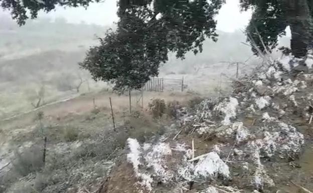 La nieve vuelve a hacer su aparición en la Axarquía