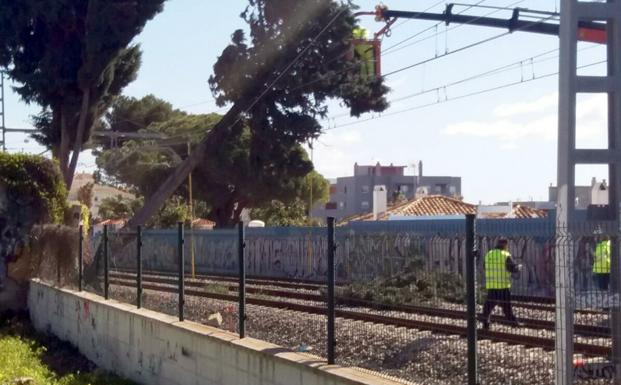 La caída de un árbol mantiene interrumpido el Cercanías entre Torremolinos y Fuengirola durante cuatro horas