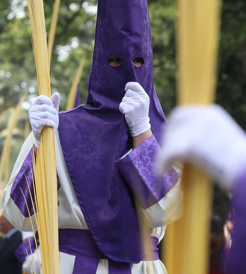 Fotos Nuestro Padre Jesús a su entrada en Jerusalén (Pollinica) y María Santísima del Amparo