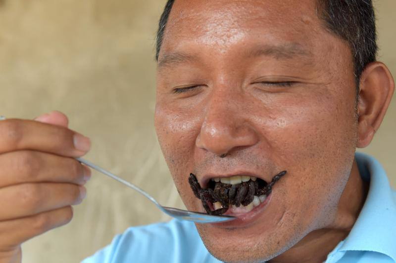 El placer gastronómico de las tarántulas, en peligro