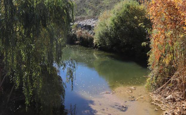 El Gobierno impulsa la construcción de cinco depuradoras para evitar vertidos al Guadiaro