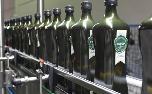 Dcoop aumenta un 10,5% el valor de sus exportaciones hasta los 541 millones de euros
