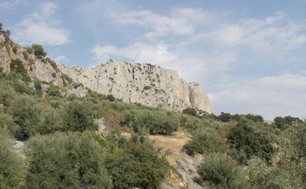 Ruta senderista: Pulgarín Alto-Alfarnate