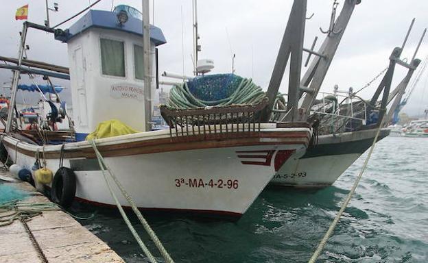 Las Cofradías de Pescadores de Málaga recogen firmas de apoyo a la pesca de arrastre