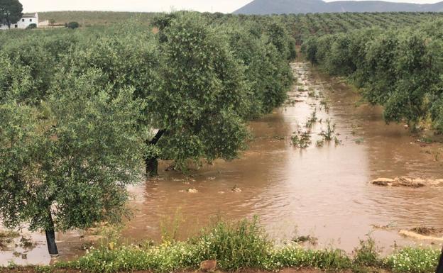 Cortan al tráfico la carretera N-331 en Antequera tras una tromba de agua