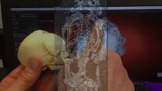 Una minimomia egipcia de halcón resulta ser un feto humano malformado