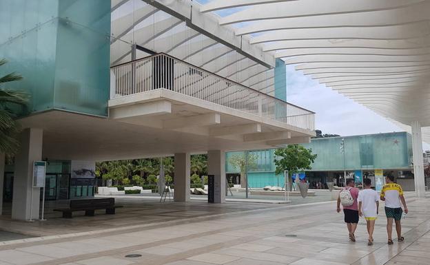 Dcoop abrirá en el Palmeral del Puerto un gran escaparate del aceite