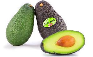 Trops, primer productor de Europa que se integra en la Organización Mundial del Aguacate