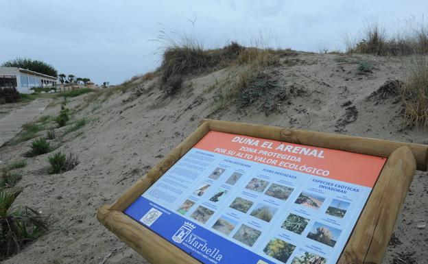 Ruta: conocer (y disfrutar) las dunas de Marbella