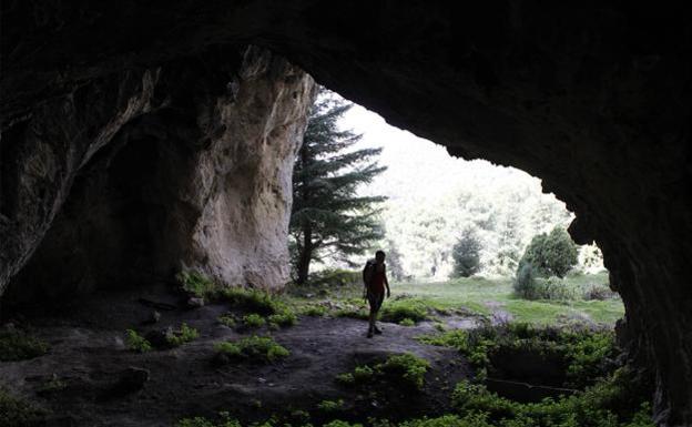 Finaliza el periodo de exposición pública del nombramiento de la Sierra de las Nieves con unas cien alegaciones