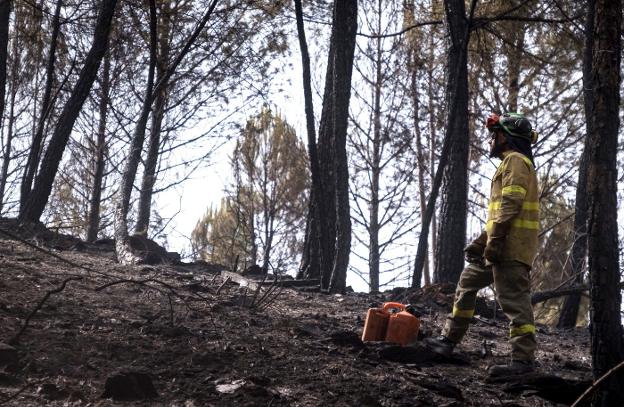 Dos nuevos incendios en doce horas siembran la inquietud en Huelva